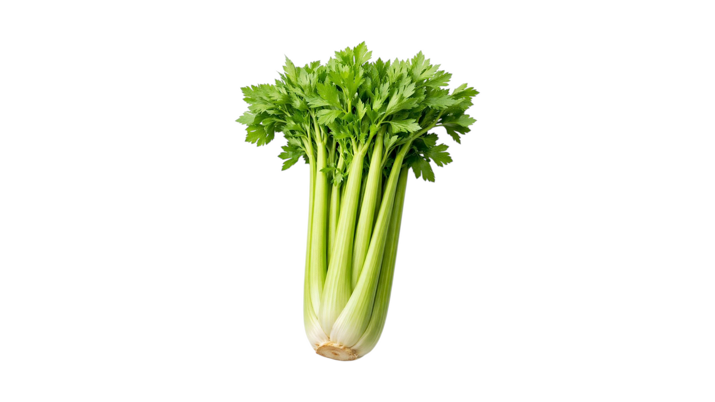 Celery Bio 1 pc
