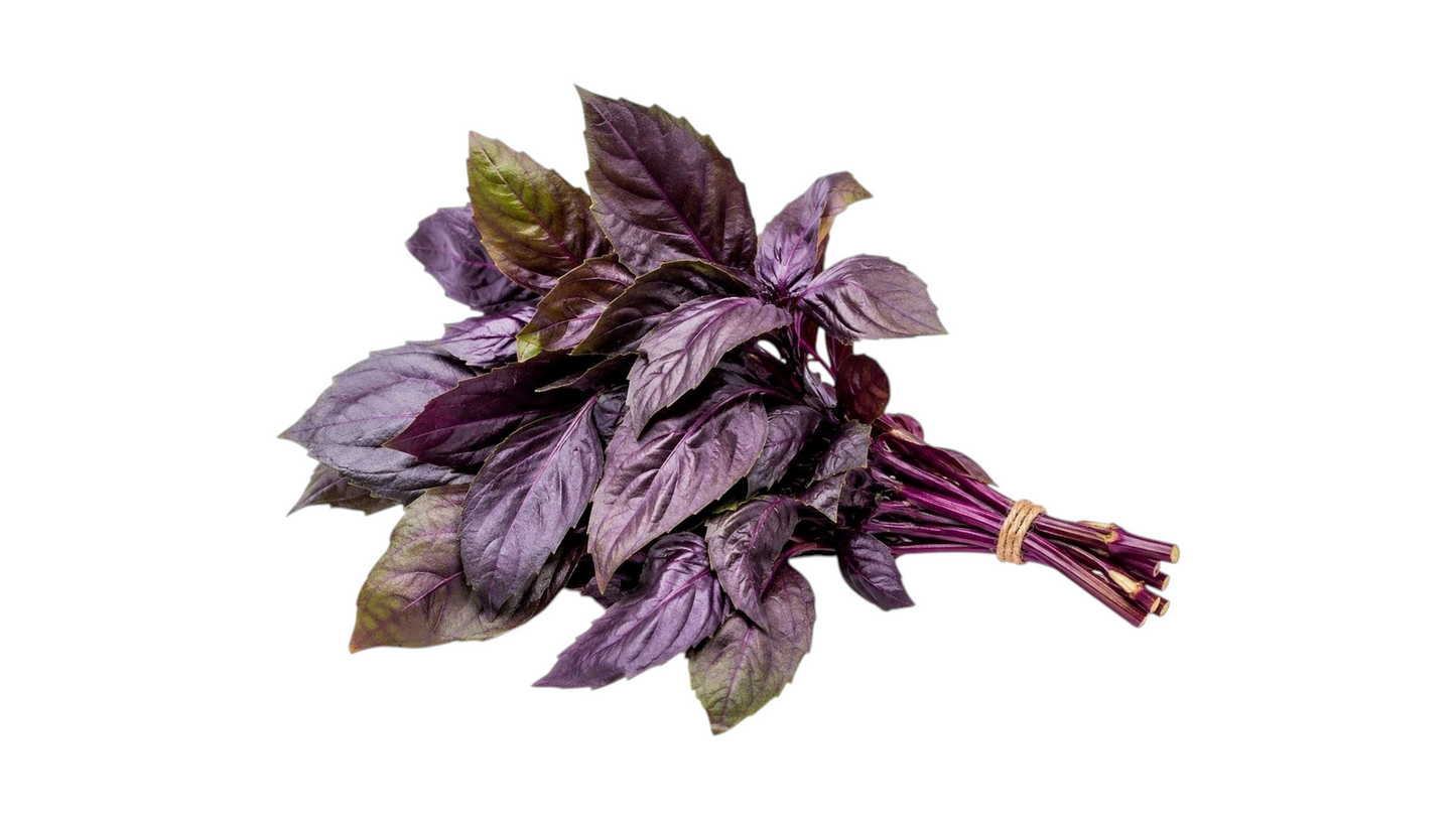 PURPLE BASIL BIO 1 PIECE