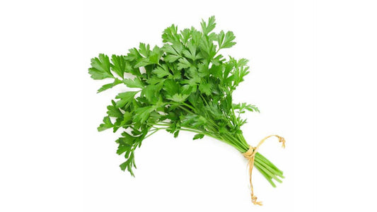 Parsley Bio 1 pc