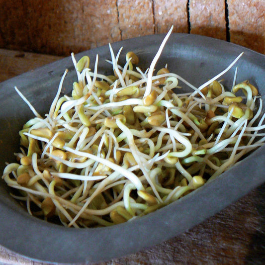 SPROUTS FENUGREEK 150g