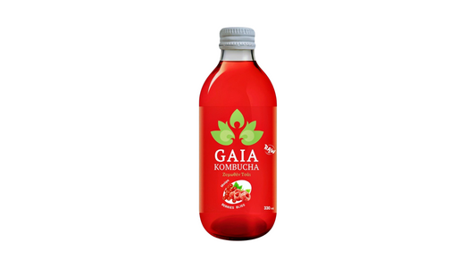 Gaia Kombucha Raw Berries 330ml