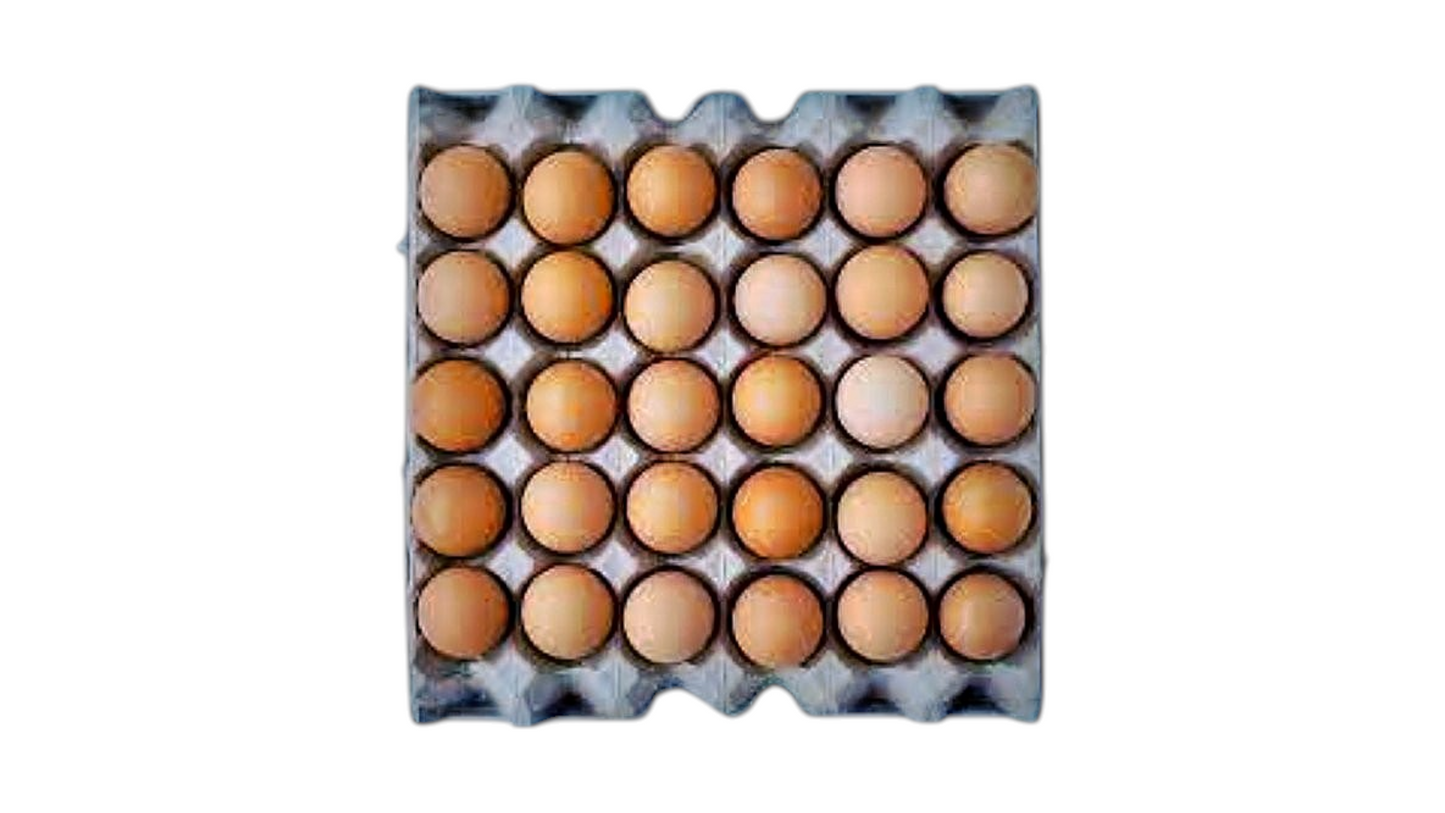 Eggs Organic 30pcs Ygea