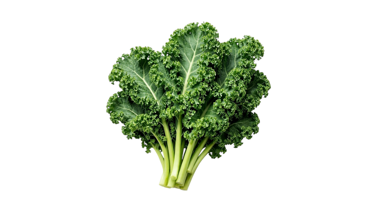 Kale Bio 1 pc