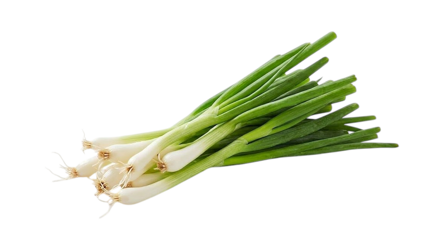 SPRING ONION 1PCS