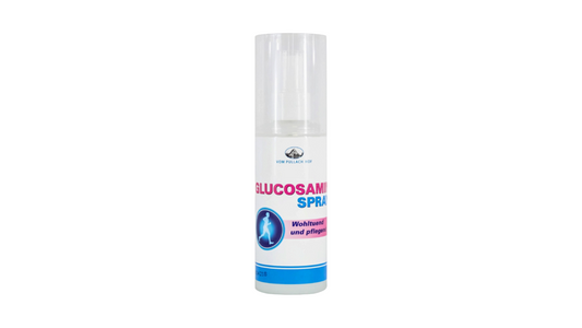VOM PULLACH HOF, Glucosamine Spray for Joints & Muscles, 100ml