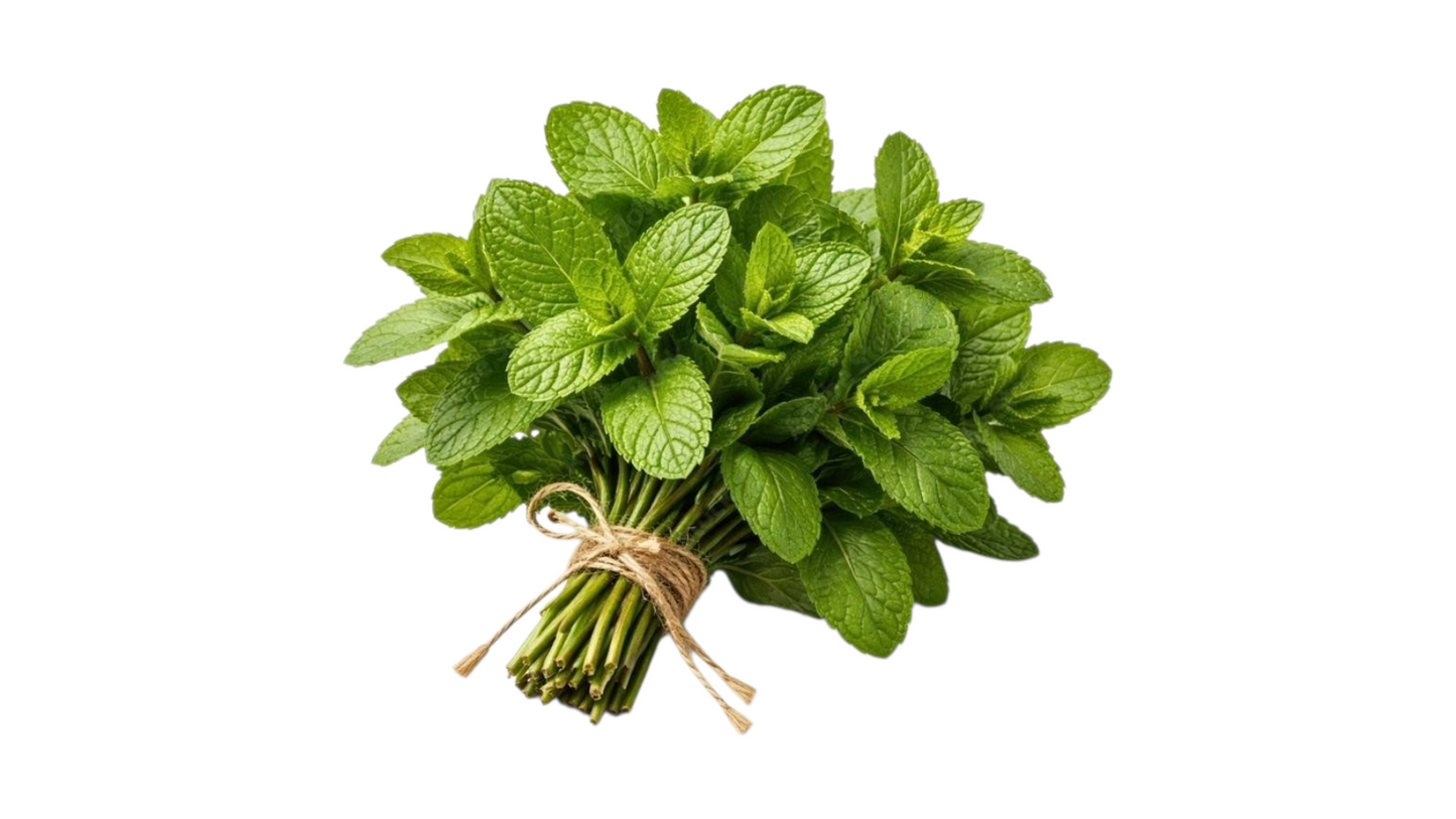 MINT 1 PC