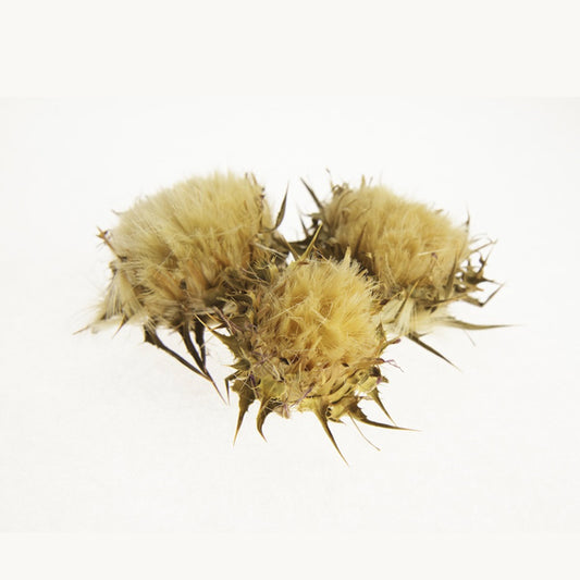 BIOIASIS, MILK THISTLE 40G BIO