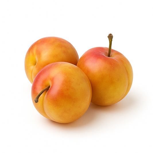 AMBER PLUMS TRANSITIONAL STAGE CYPRUS